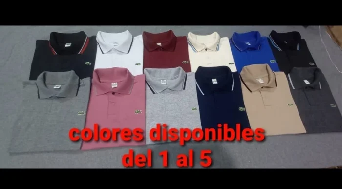 Chomba Adulto