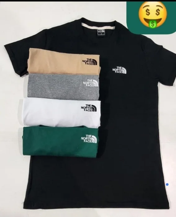 Remera North Face Adulto