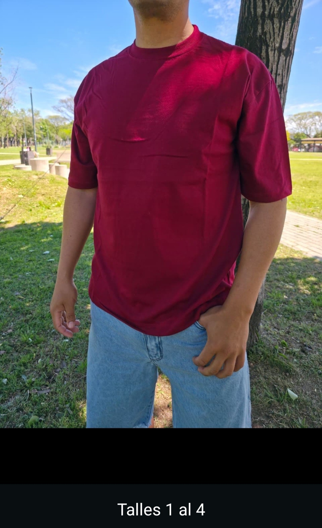 Remeras Overcize Lisas 24/1 - Imagen 3