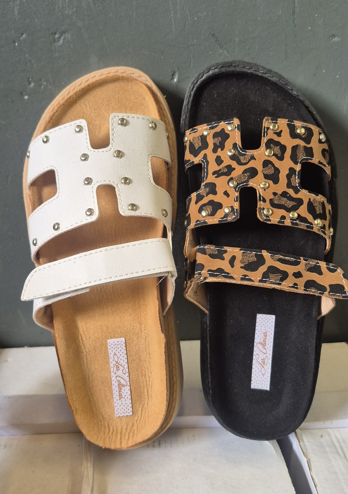 Birken Tachas - Imagen 2