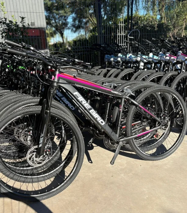 Bicicleta Fire Bird R29