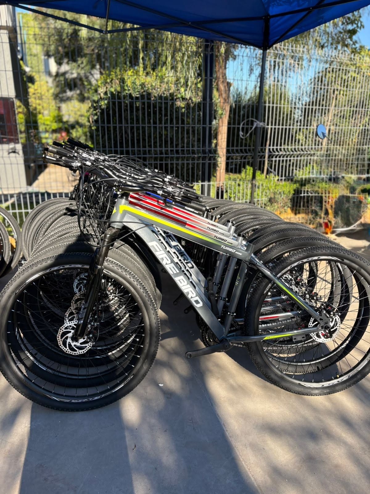 Bicicleta Fire Bird R29 - Imagen 2