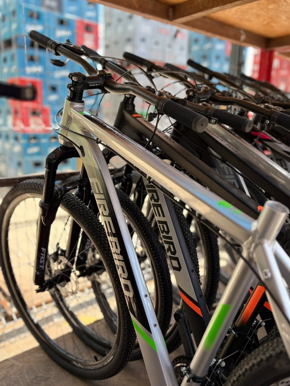Bicicleta Fire Bird R29 - Imagen 3