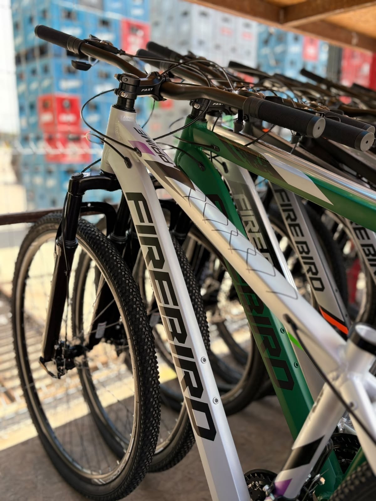 Bicicleta Fire Bird R29 - Imagen 4
