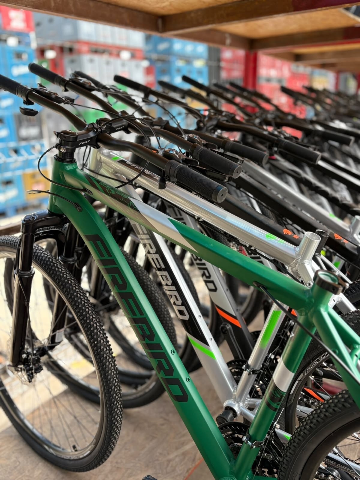 Bicicleta Fire Bird R29 - Imagen 5