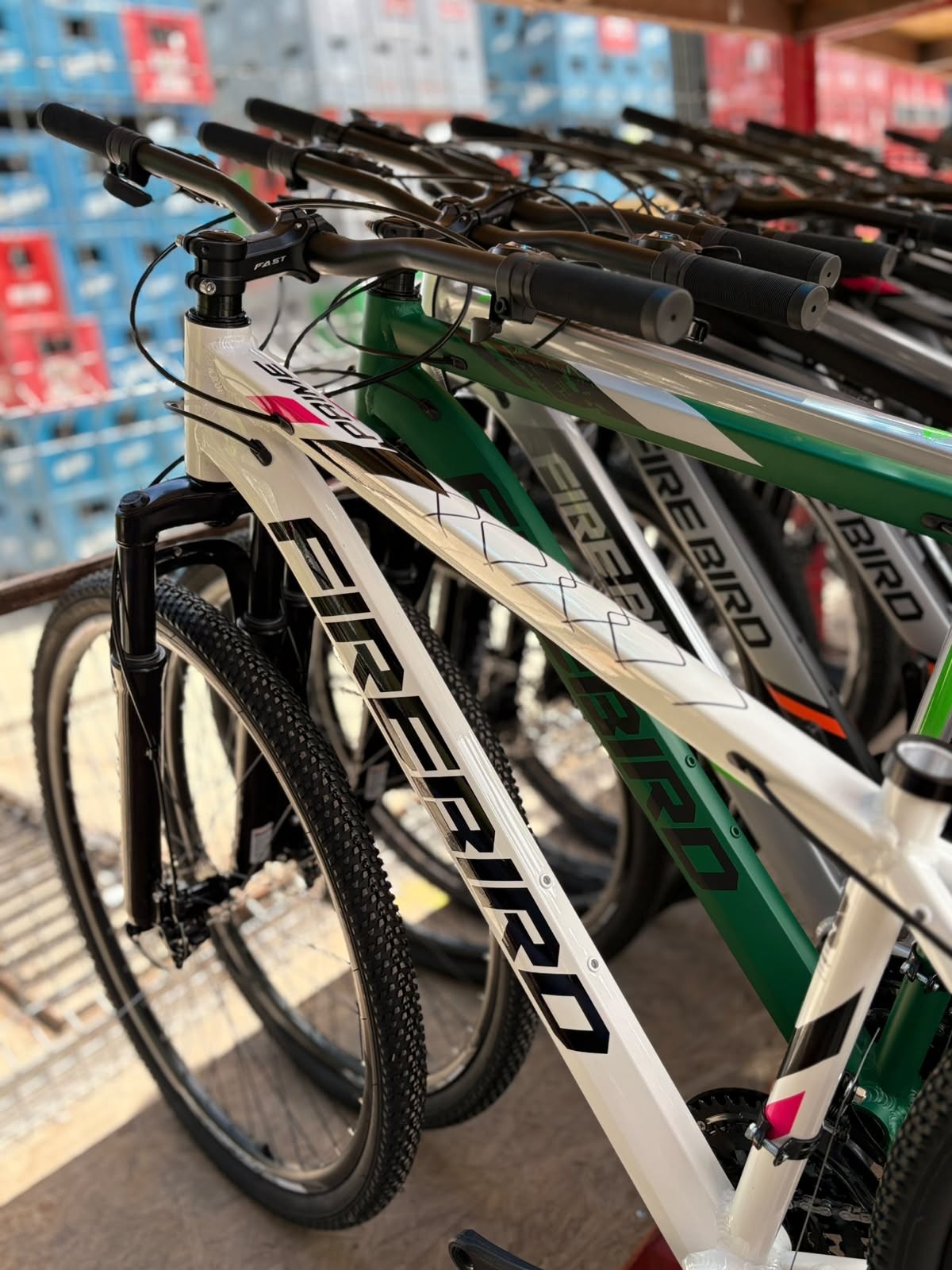 Bicicleta Fire Bird R29 - Imagen 6