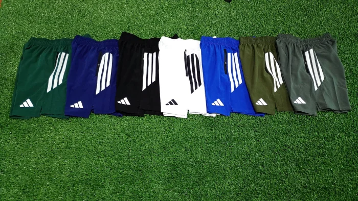 Shorts Bermuda