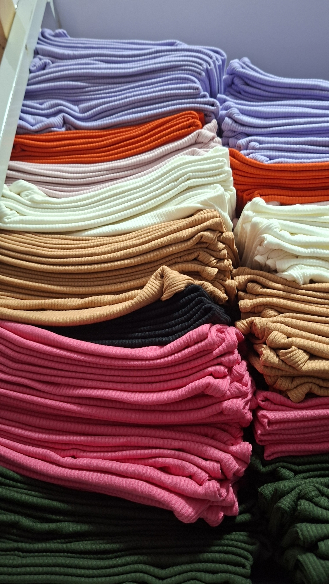 Musculosa de Morley - Imagen 3