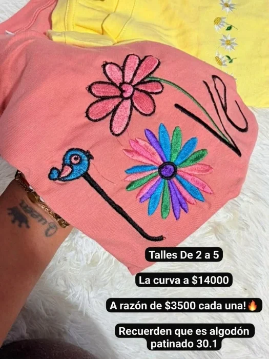 Remera Bordada