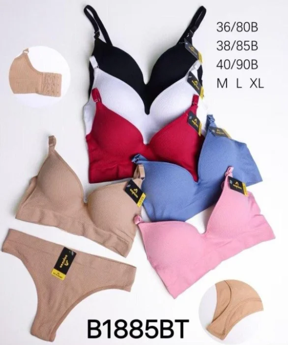 Docena Conjunto Armado Morley