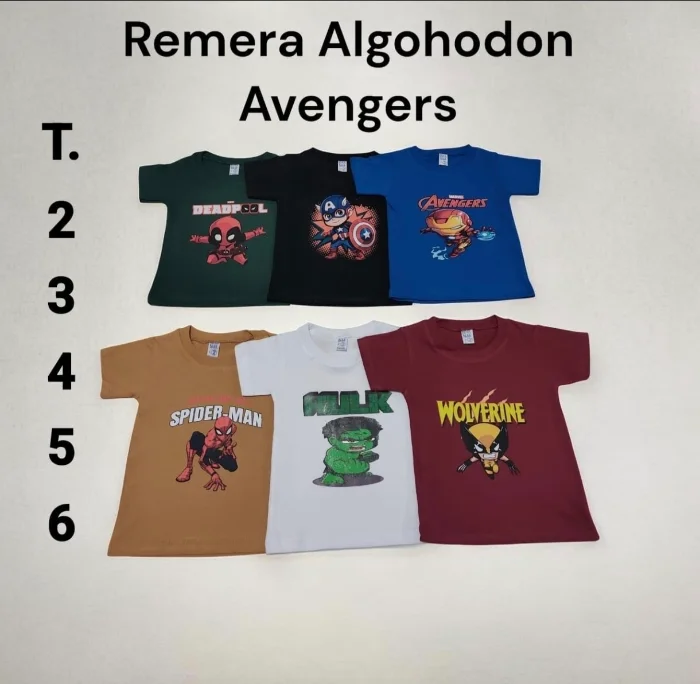 Remera Algodón