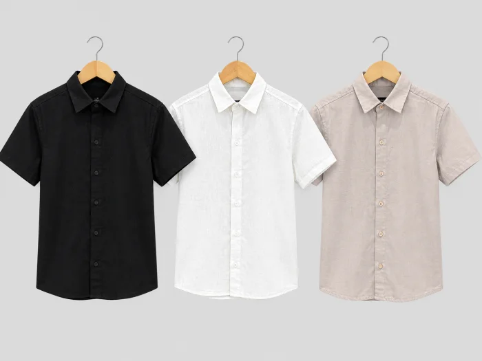 Camisa Lino