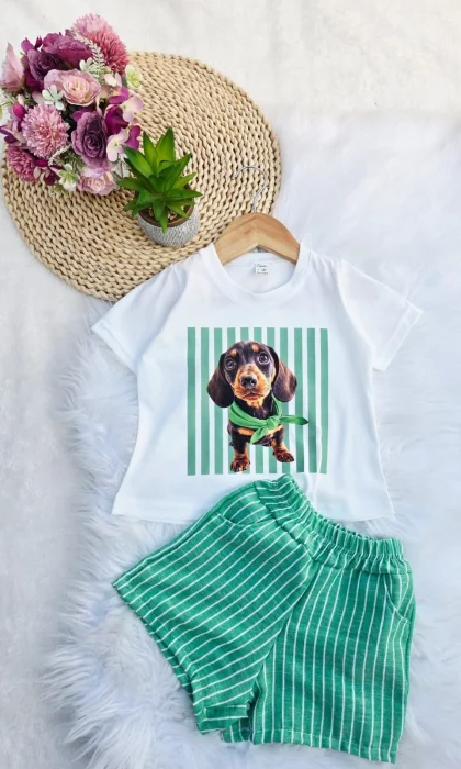 Conjuntos Remera Algodon Peinado y Short de Lino Rayado.