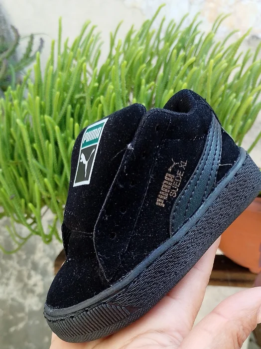 Pumaaa