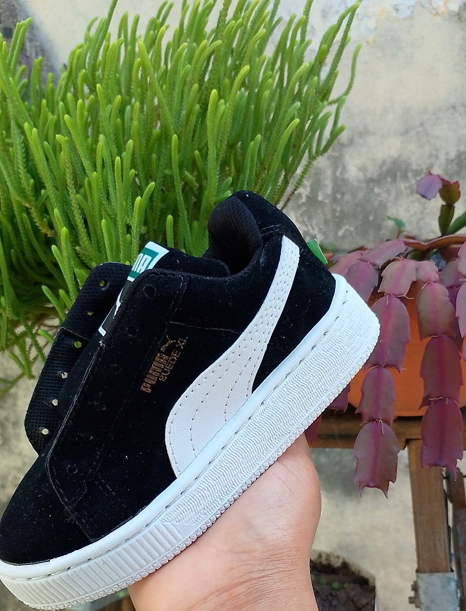 Pumaaa - Imagen 4