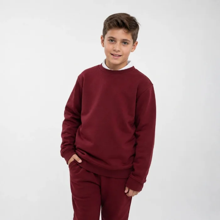 Buzo Frisa - Colegial 1233
