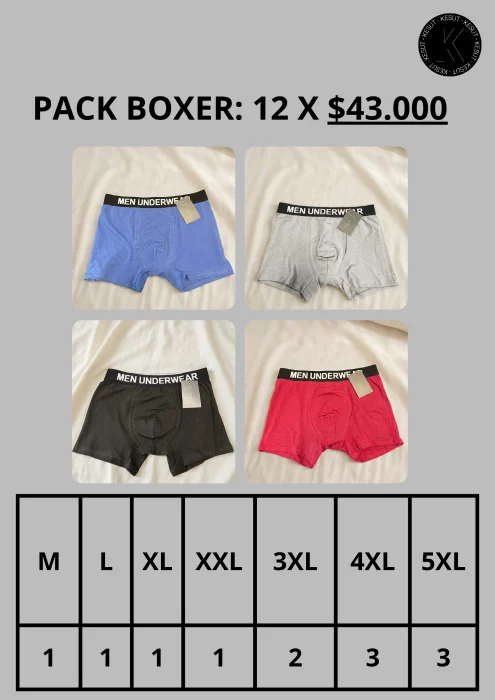 Pack Boxer X12
