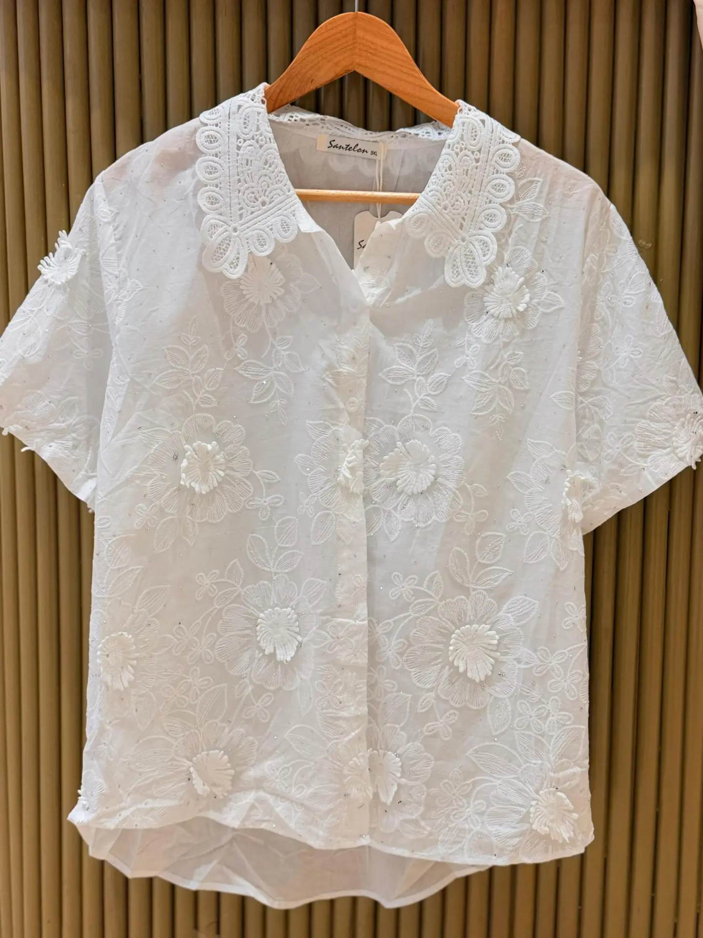 Camisa Rosal - SaveClip.App_798825658_17895373365670600_4148125492771002781_n.jpg