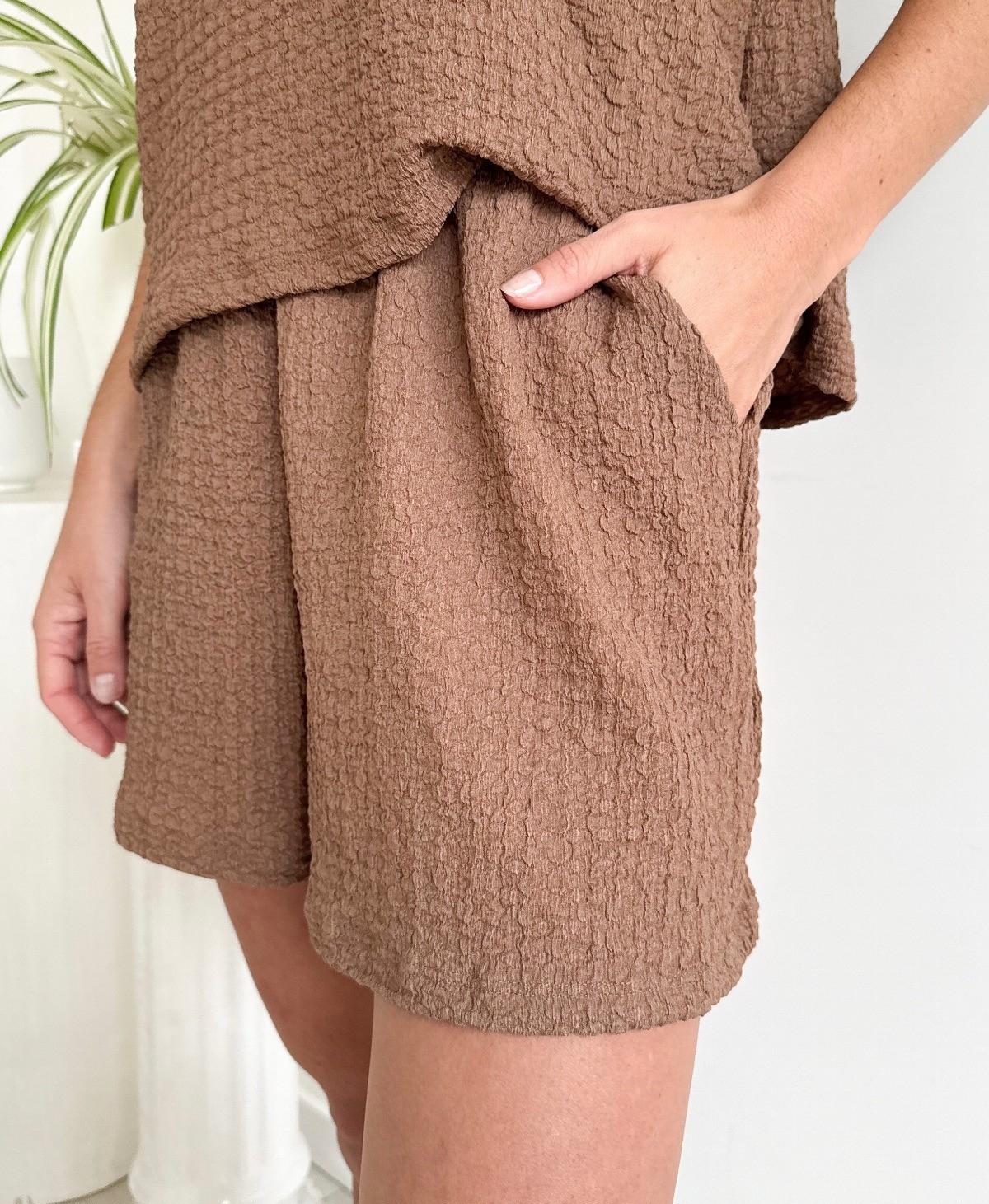 Short Brucelas - Imagen 2
