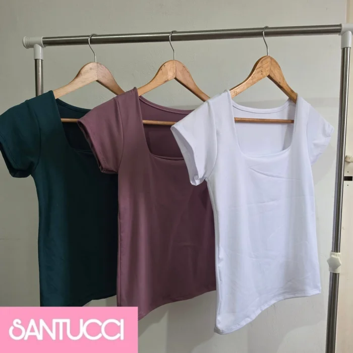Remeras Basicas