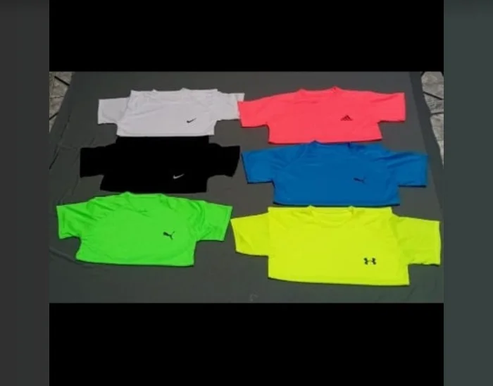 Remera Adulto