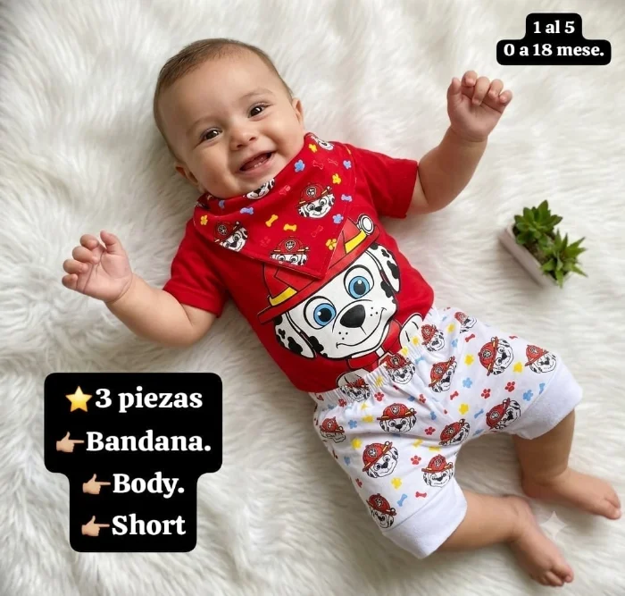Paw Patrol.