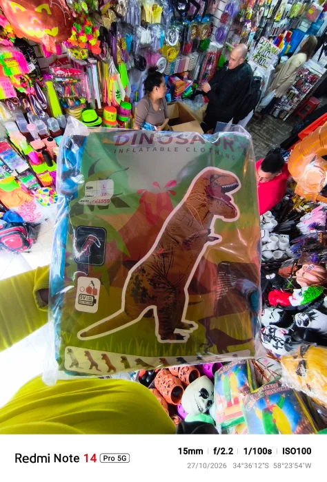 Disfraces Inflables Rex