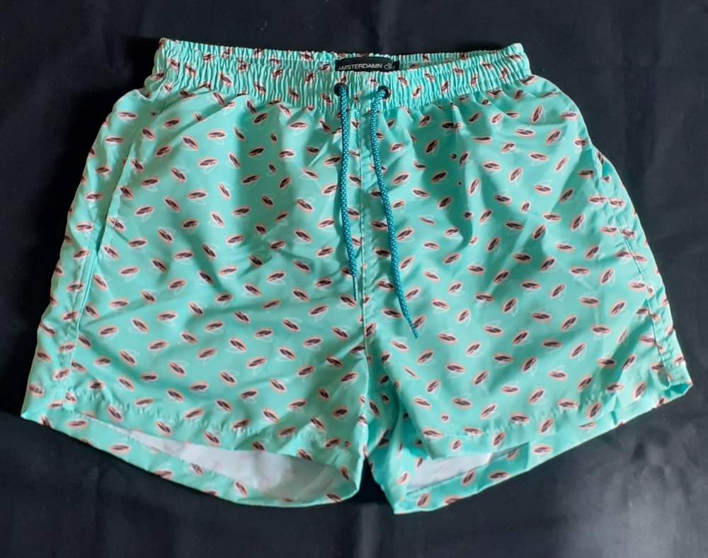 Shorts Baño - Imagen 2