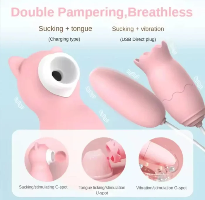 Vibrador y Succión Recargable con Control