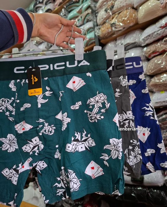 Boxer Capicua Esta X  Docena