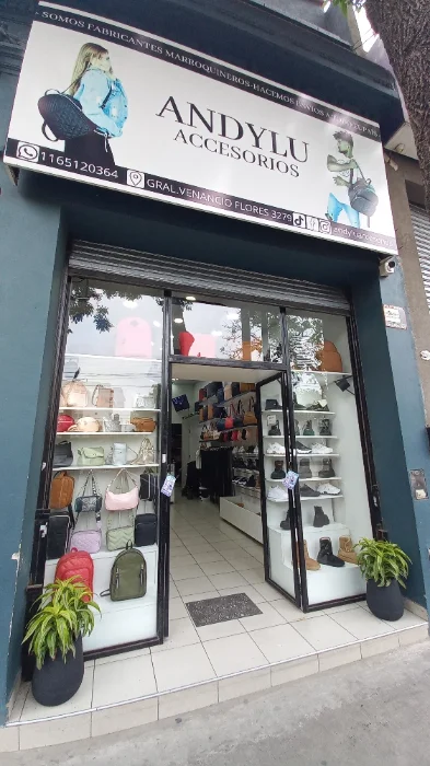 Mochilas Carteras Bandoleras  Andylu Accesorios