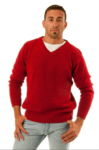Sweters Tipo Bremer