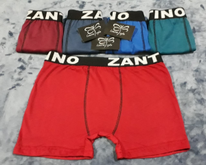 Boxer Zantino