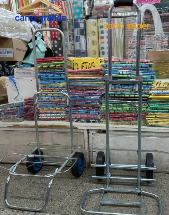 Carros Grande Común