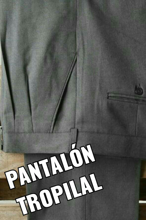 Pantalón Clasico Pinzado  Tropical - Imagen 2