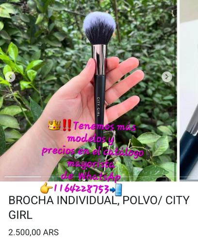 Set de Brochas (varios Modelos y Precios ) - Miniatura 3