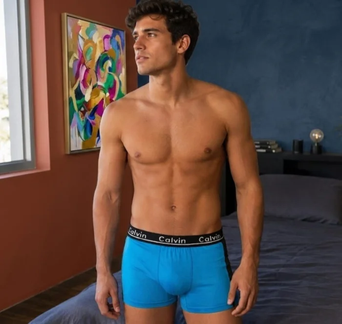 Boxer Calvin