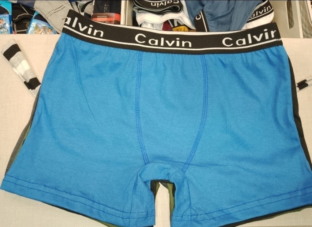 Boxer Calvin - Imagen 3