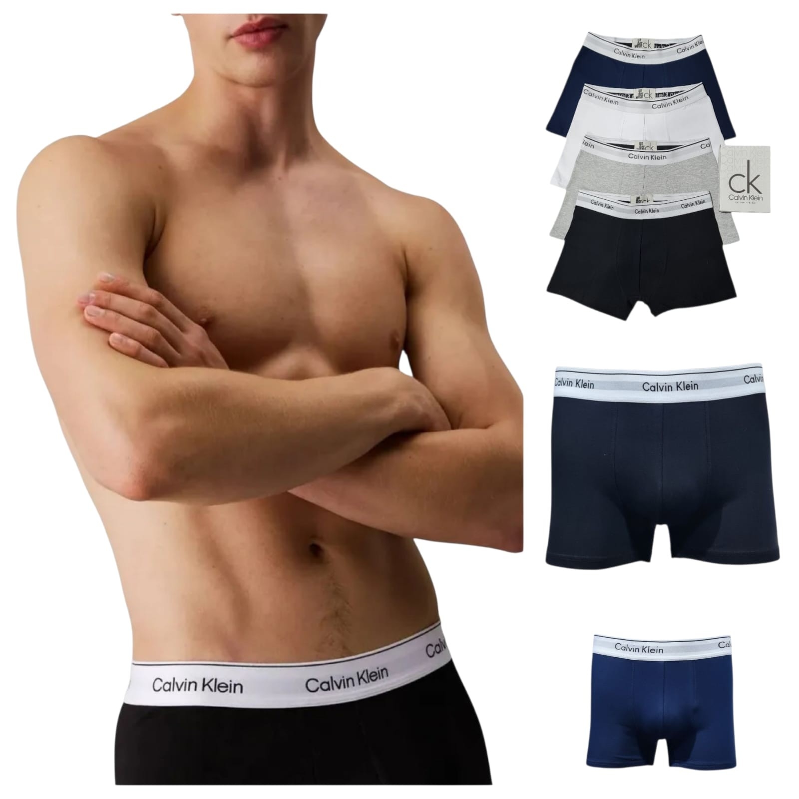 Boxer Calvin K. - Imagen 3