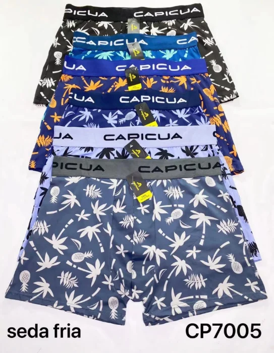 Boxers de Seda Fria
