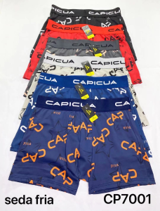 Boxers de Seda Fria - Miniatura 2