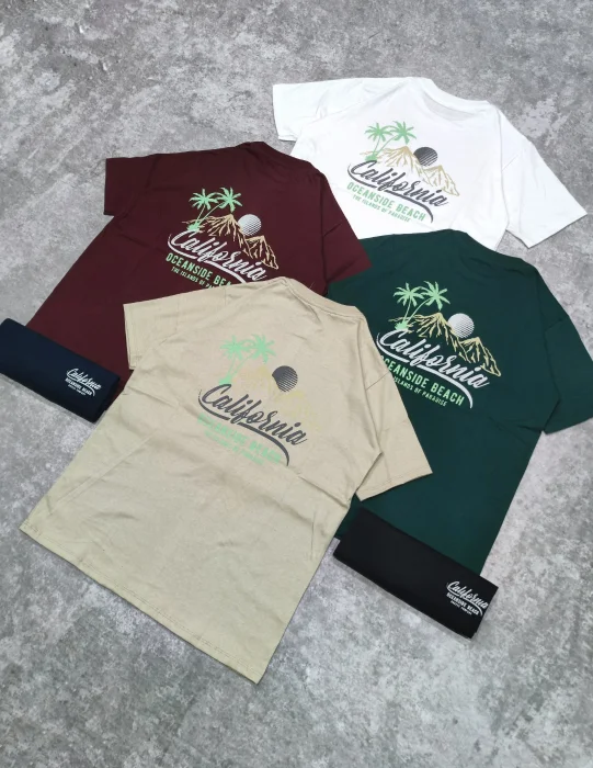 Remera California  Hombre