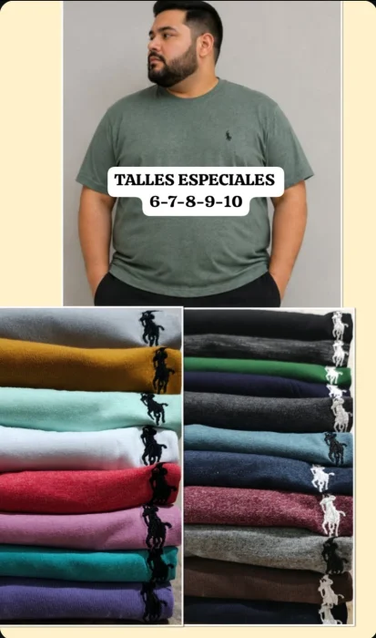 Remeras de Polo Talles Especiales