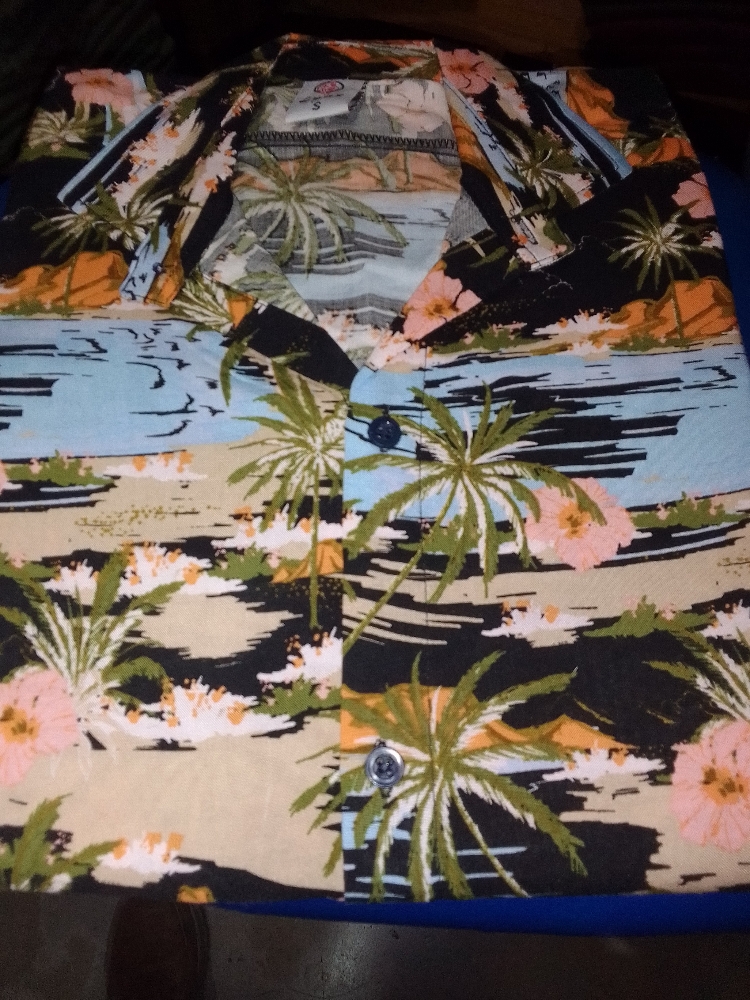Camisas Hawaianas - Imagen 2