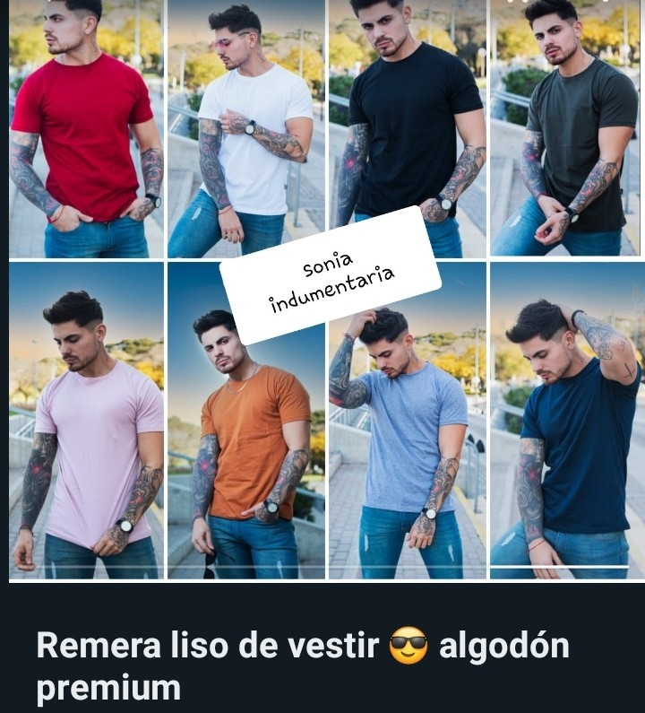 Remeras Lisas  de Vestir..algodón Peinado - Imagen 2