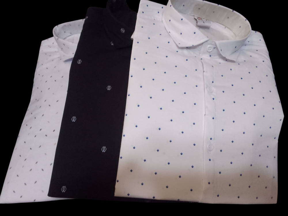 Camisas Slim Fit - Imagen 2